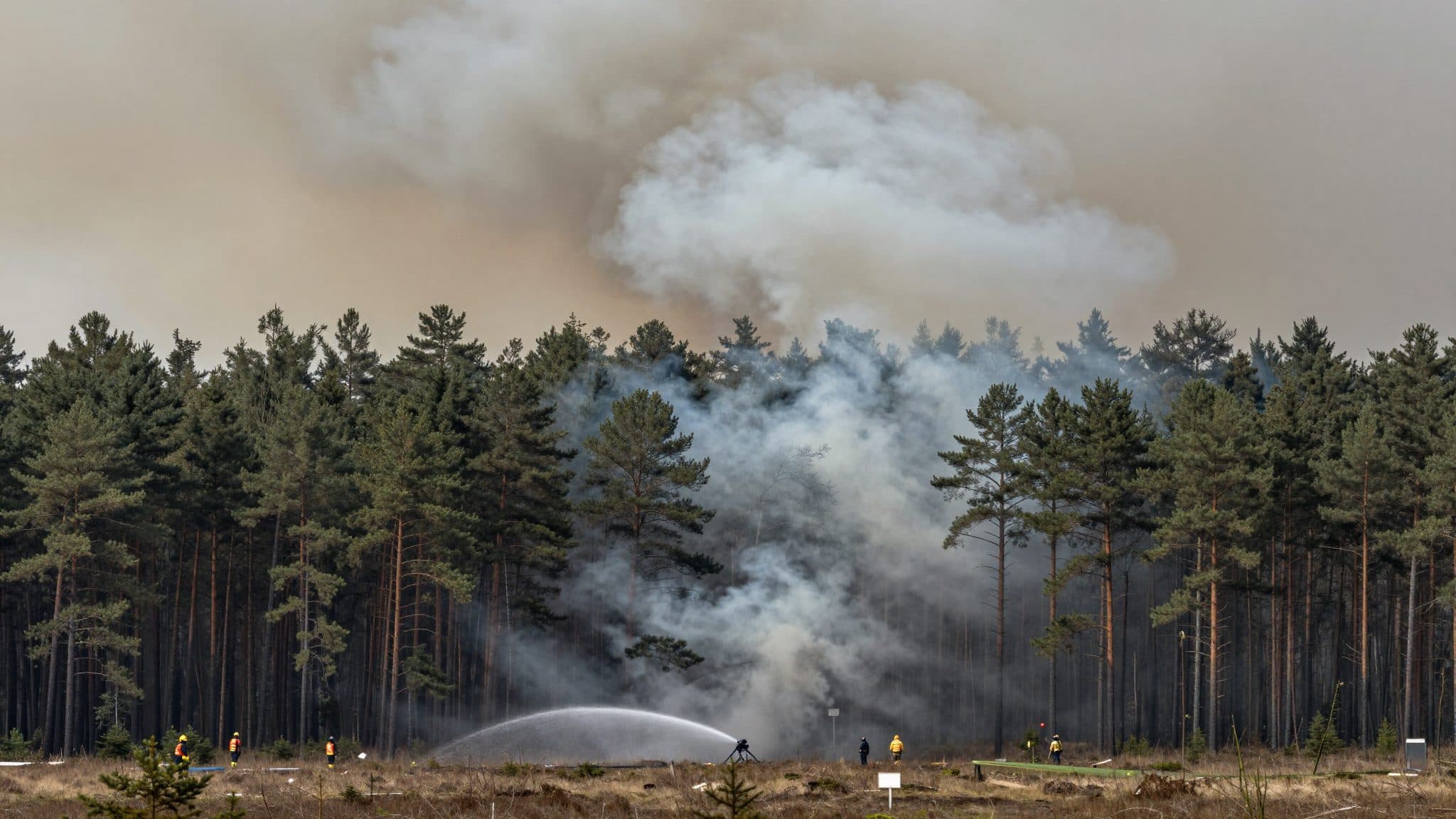 Incendio forestal en el Parque Nacional de Müritz: 318 hectáreas afectadas