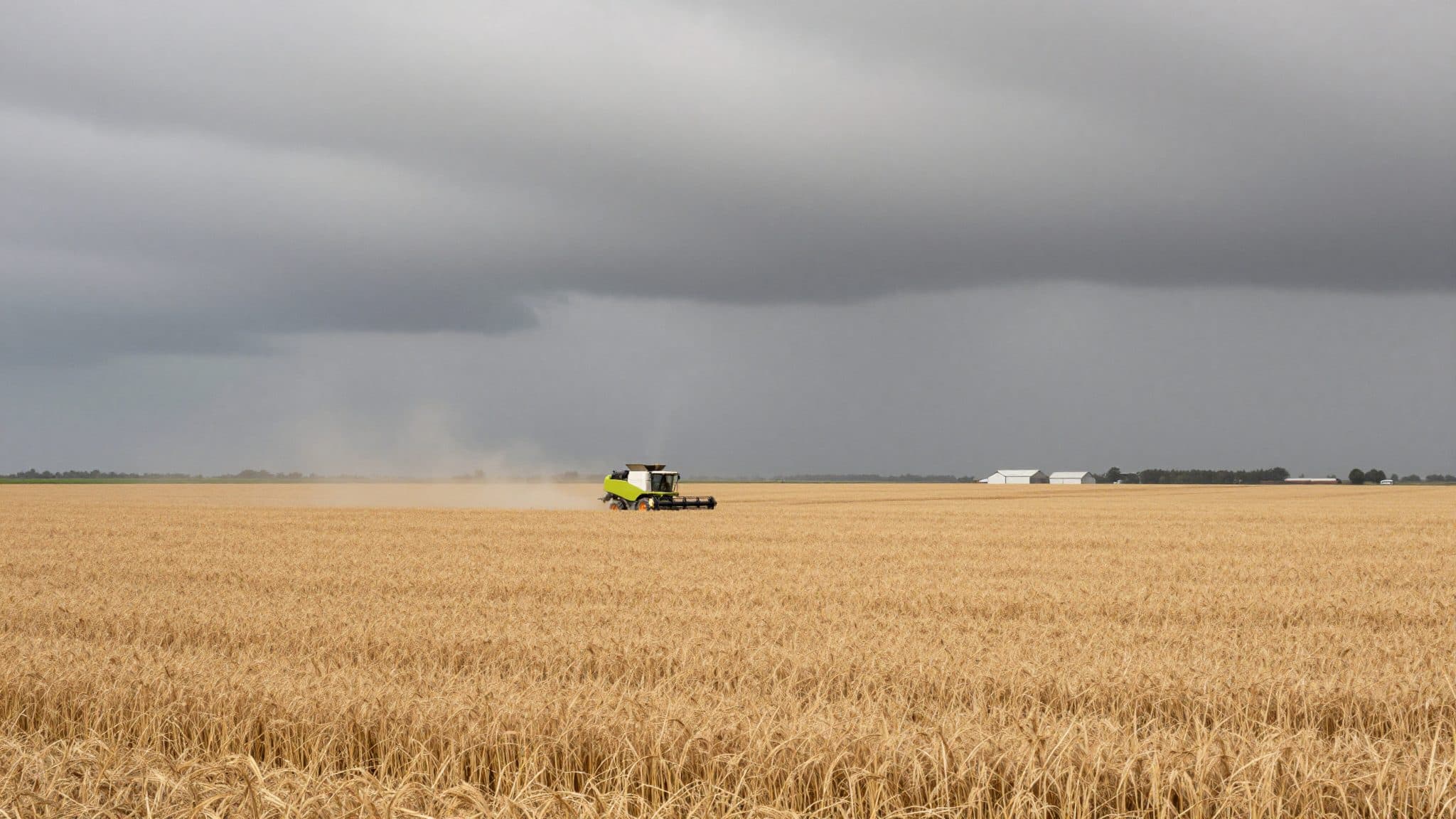 La FAO y la OCDE prevén un aumento notable de la producción agraria hasta 2035, con emisiones al alza
