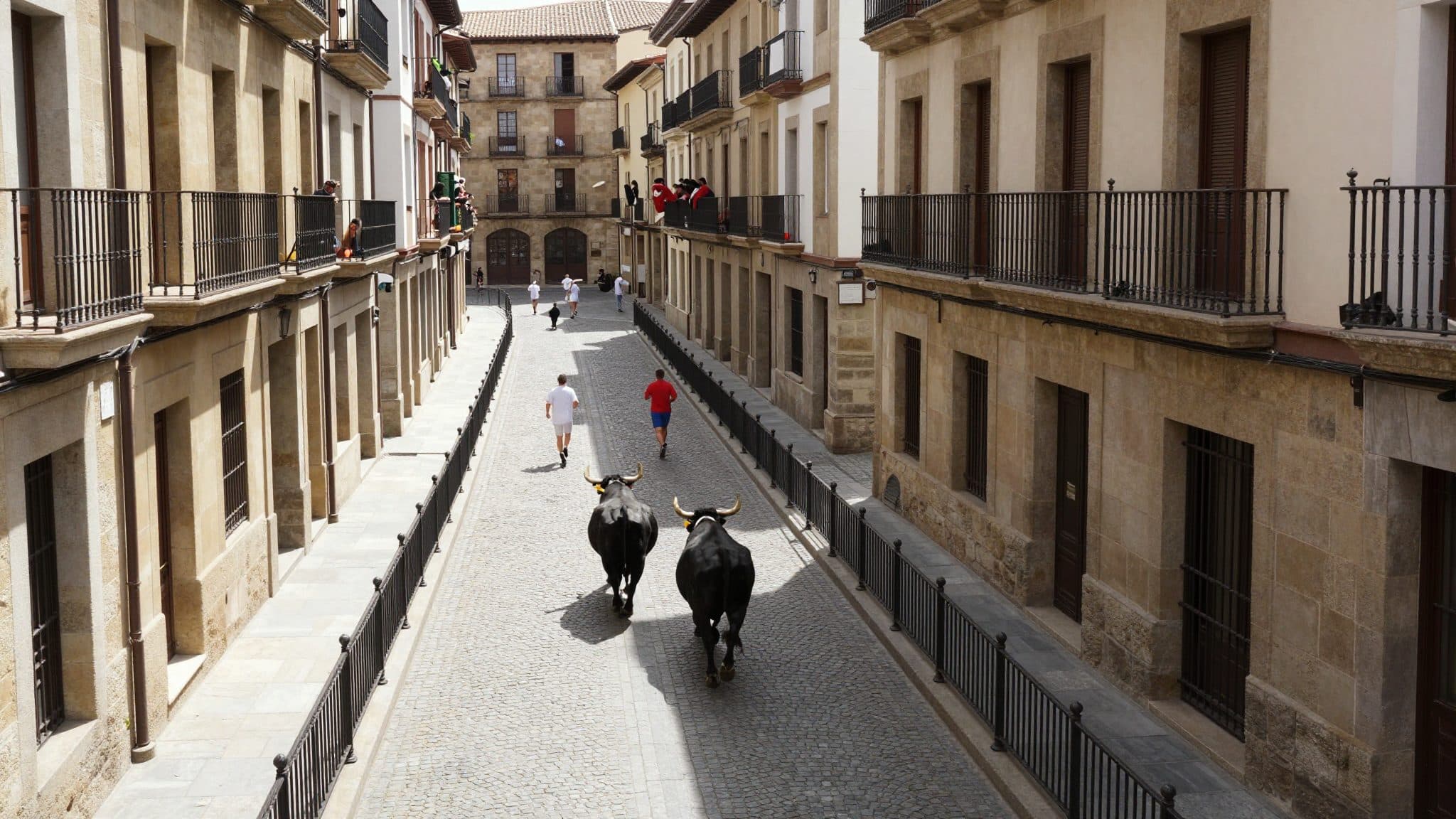 San Fermín en Pamplona comienza con un polémico arranque: encierros y críticas por maltrato animal
