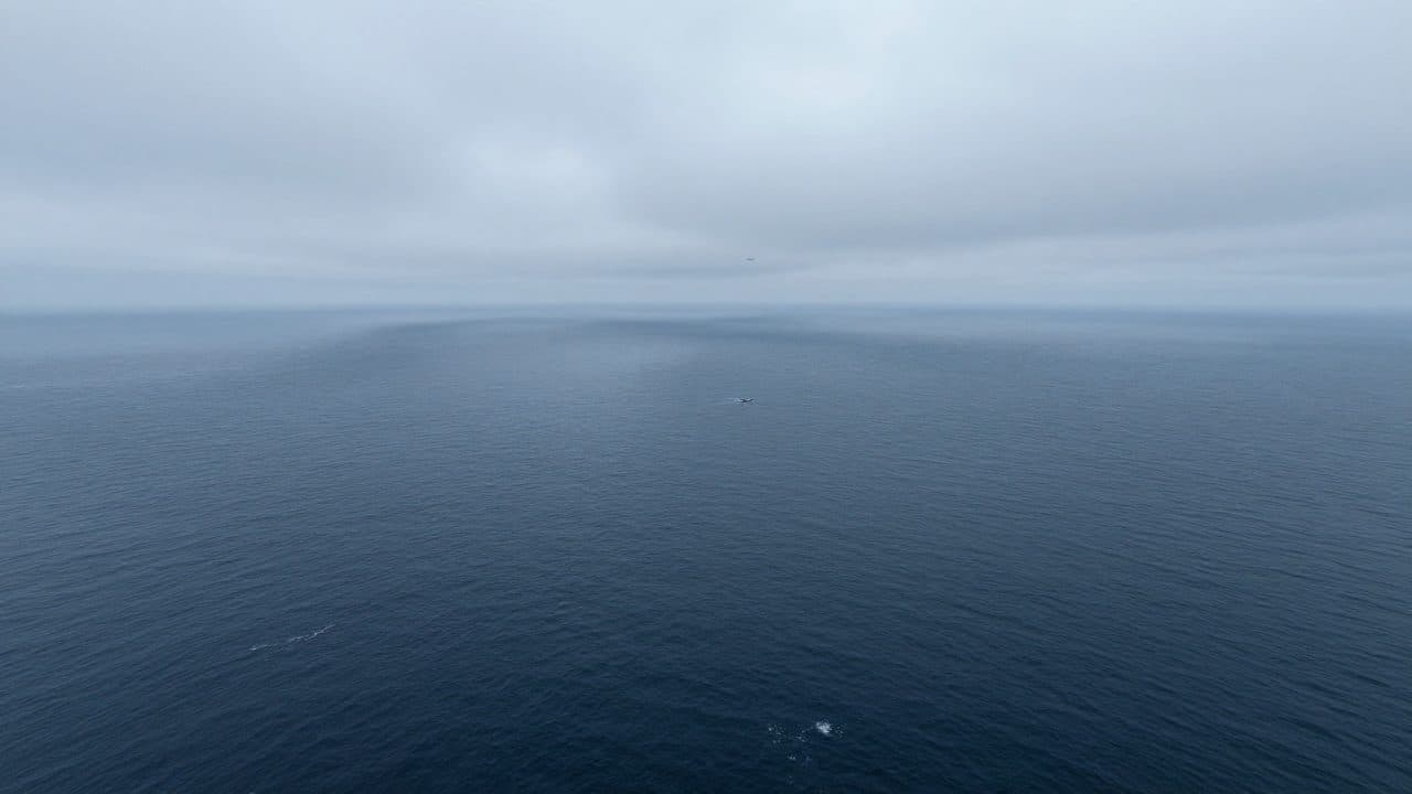 La Guardia Costera de EE. UU. busca un jet desaparecido con seis personas a bordo sobre el Atlántico